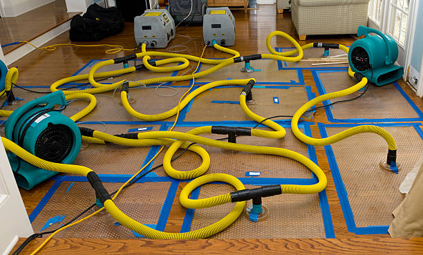 Professional Crawl Space Water Removal technician working in North Woodstock, NH